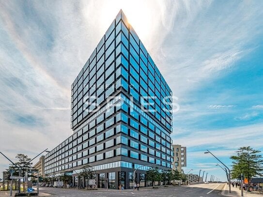 Flexibel, Lichtdurchflutet, Zentral: Ihr Geschäftspotential in der HafenCity.