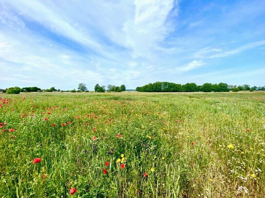 Landgut auf Usedom - Zwei vollständig ausgebaute Wohngebäude, über 700 m² Wohnfläche in idyllischer Naturkulisse