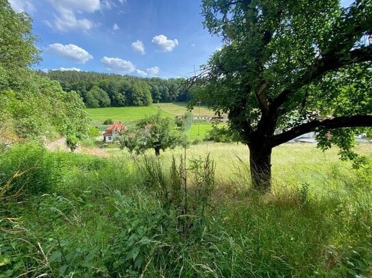 750 m² Bauland am Südhang des Erlbachtals in Kraftsdorf, 20 Minuten/25 km bis Jena- Lobeda entfernt.