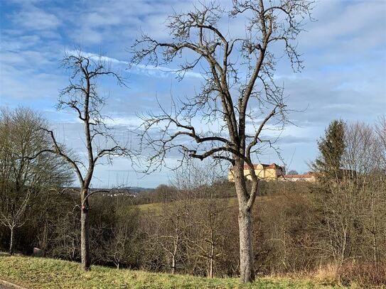 3,5 Zi.-Wohnung mit Terrasse und TG-Stellplatz in Traumlage von Ellwangen (Nr.2)