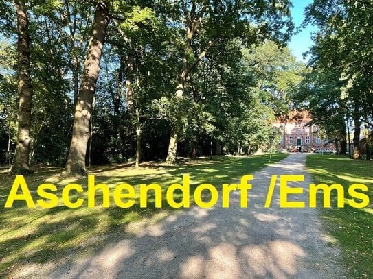 *** Gemütliche Obergeschosswohnung mit Balkon zu vermieten***