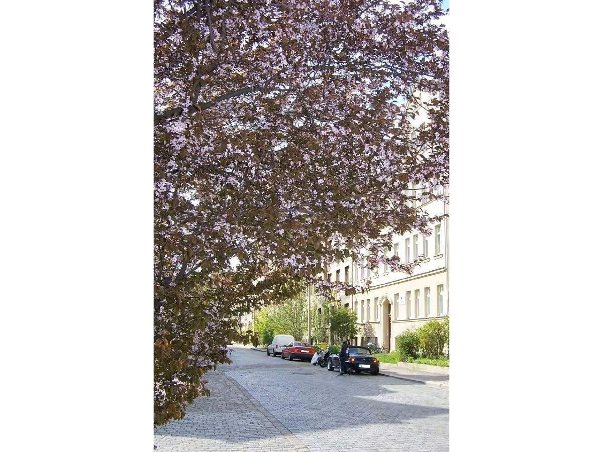 Kapitalanlage oder Selbstbezug ! Appartement mit Balkon, Stadtteil Volkmarsdorf