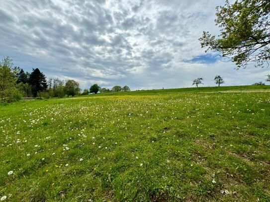 Idyllischer Pferdehof - Perfektes Paradies für Reitsportliebhaber