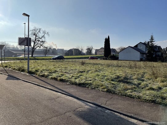 Neubau familiengerechter Doppelhäuser in Wangen - Wohnen ... mit allen Vorteilen!