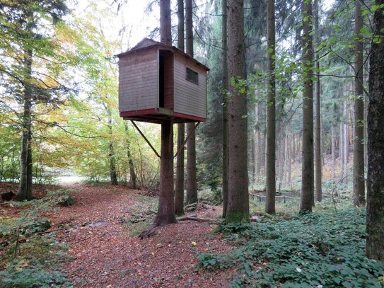 Wald bzw. Freizeitgrundstück mit Fischteich und Baumhaus in sehr ruhiger und idyllischer Lage Nähe Schöllnach