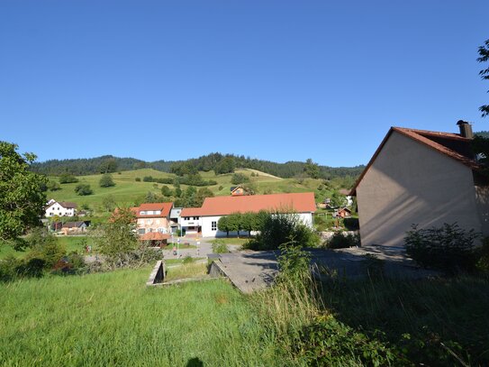 Großes Baugrundstück für EFH oder MFH im Herzen der Natur