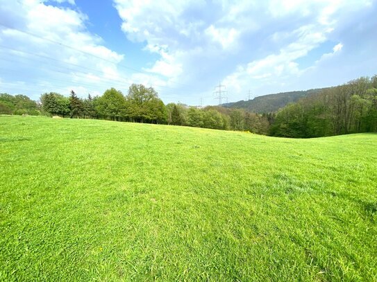 Grünland- und Waldflächen in Windeck