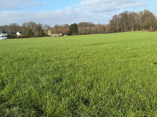 Grundstück - landwirtschaftliche Nutzung