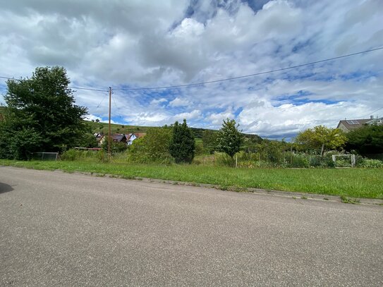 Baugrundstück für ein freistehendes Einfamilienhaus in Bötzingen, gute Lage