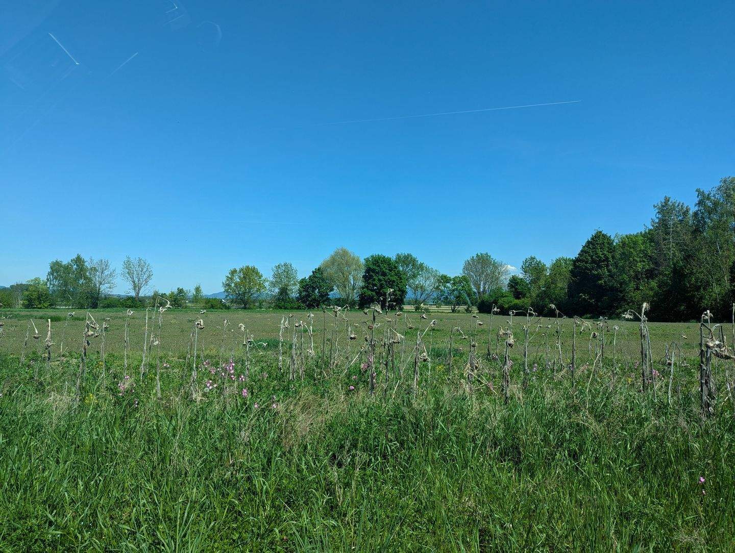 Immobilie in Straubing