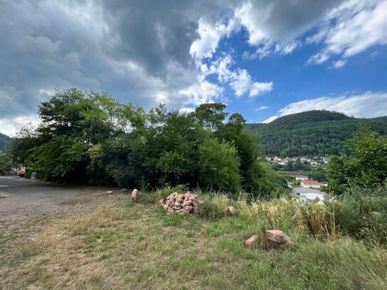 Großes Baugrundstück (1500 m²) über den Dächern von Lambrecht