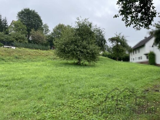 neuen Baugrundstück für Ihr neues Haus in Weigendorf