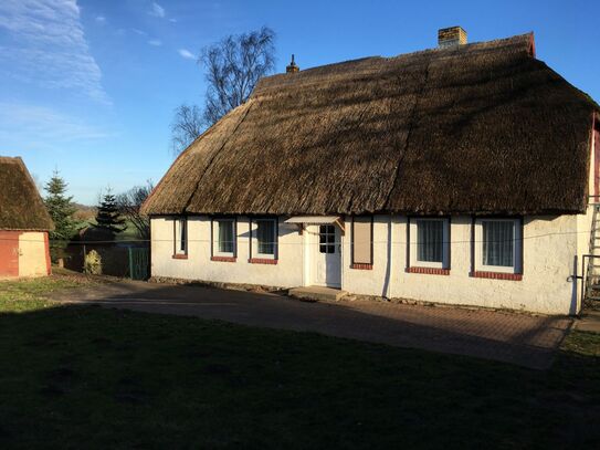 Chausseehof: Resthof mit Bauernhaus, Scheune, Stall und Weide zu verkaufen!