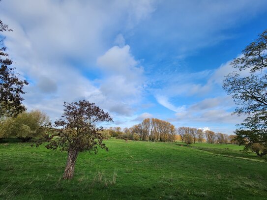 Grundstück mit unverbaubarem Blick auf Naturschutzgebiet für MFH oder Villen