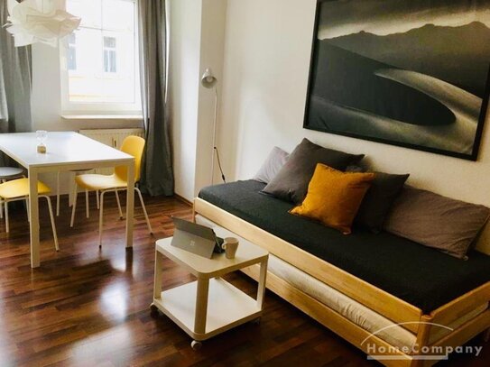 Möbliert 1-Zimmer Apartment in Dresden-Pieschen