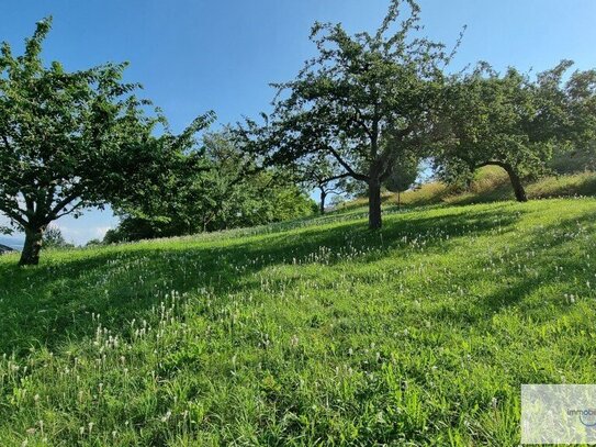 Grundstück mit Potenzial * die Aussicht PERFEKT!!!