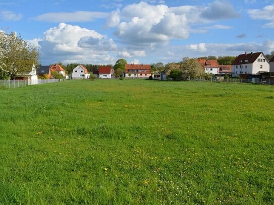 Naturnah und Zentral gelegen. Schönes Baugrundstück in Duingen!