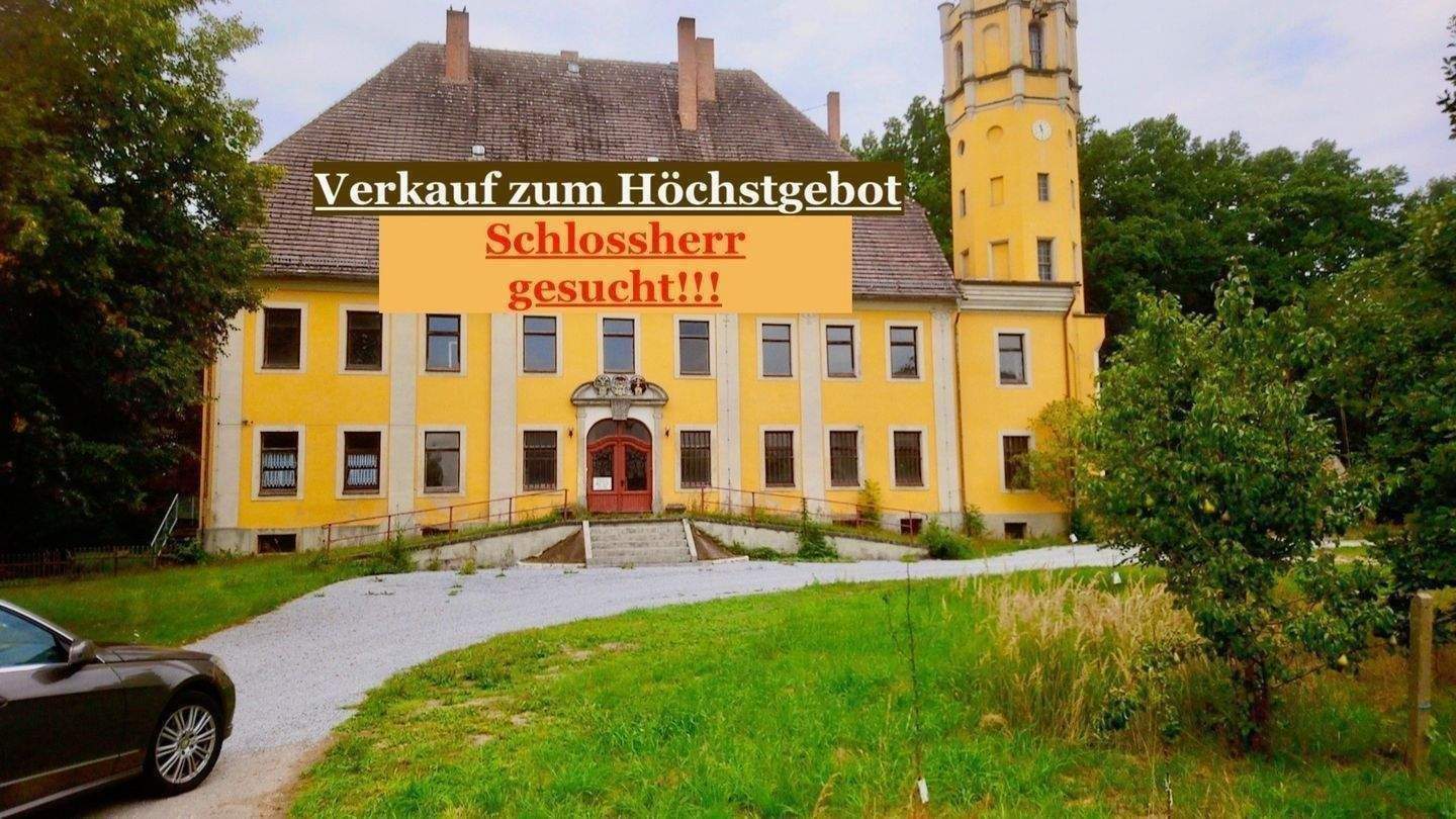 Immobilie in Hähnichen - SCHLOSS - perfekt für kleines Hotel Schönheitsklinik Mehrgenerationen-Wohnen - Bild 0