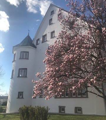 Wohnen im wunderschönen Schloss in Steinen