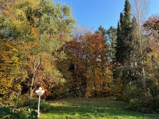 Wassergrundstück mit Blick in den Wohldorfer Wald