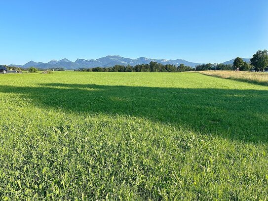 Sonne und Bergpanorama,1.130 m2 großes Baugrundstück in Bachham nähe Prien