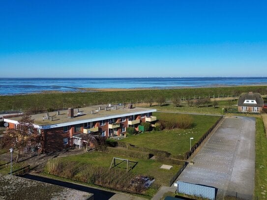 Nordseeidyll: Charmante Ferienwohnung direkt am Deich in Friedrichskoog-Spitze