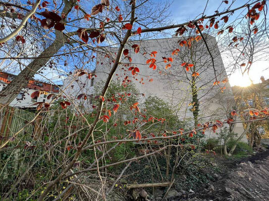 Halle-Giebichenstein: Gartengrundstück für Privat oder Gewerbe zur Miete