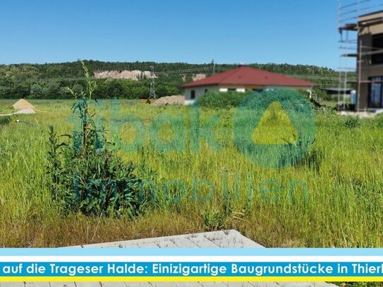 Bauträgerfreie Braugrundstück vor der Kulisse der Trageser Halde