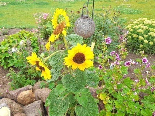 HERBSTANGEBOT!!! - IHR TRAUMHAUS AUS NATURBAUSTOFFEN AM RANDE DER STADT!