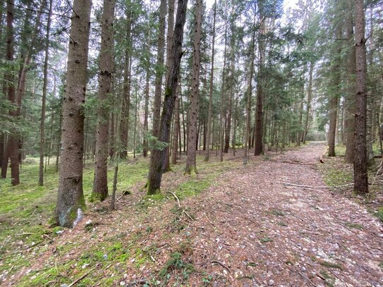 Waldfläche mit 9.570 m² nähe Haberskirchen