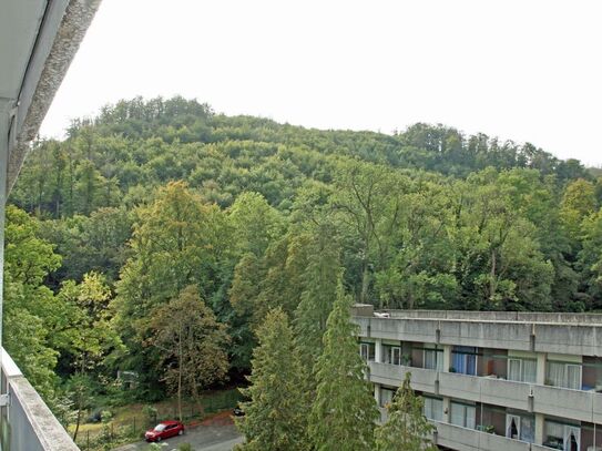 Bad Harzburg am Kurviertel 2 Zimmer mit großem Balkon und Schwimmbad, Tiefgaragenplatz