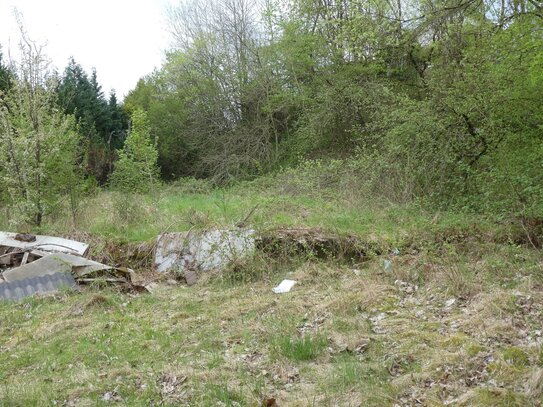 Baugrundstück mit Baugenehmigung für großzügiges freistehendes Wohnhaus mit Garage in Zerf