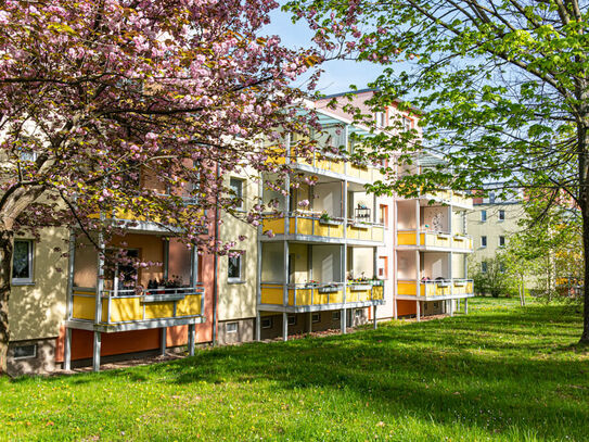 Top-sanierte 1-Raum-Wohnung in schöner Lage