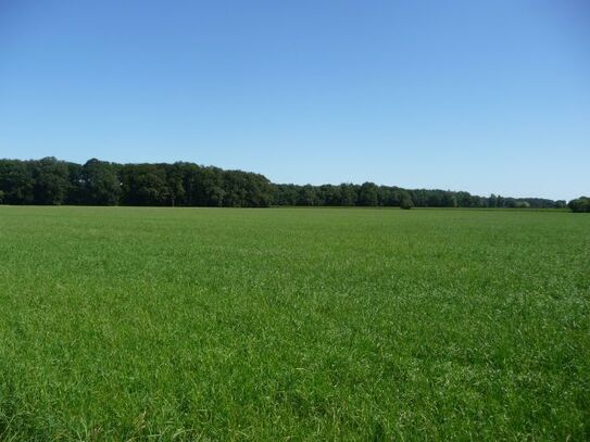 ca. 45,5 ha Ackerland in Badbergen, OT Wehdel u. OT Grönloh, insgesamt oder in Teilflächen zu verkaufen