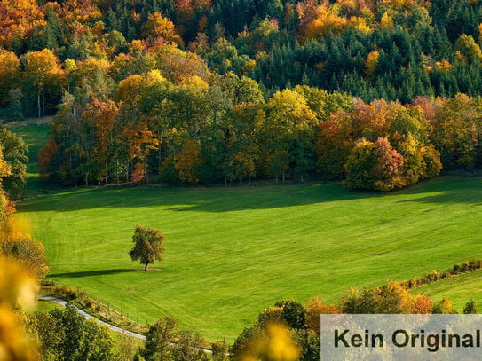 Landwirtschaftliche Flächen in der Gemarkung Behringersmühle