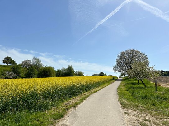 sonniges Baugrundstück in idyllischer Feldrandlage