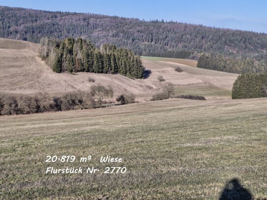 Wiese - Landwirtschaftliche Grundstücke - in Immendingen OT Mauenheim zu verkaufen!