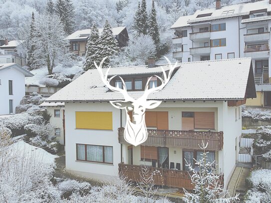 Attraktives Zweifamilienhaus mit unvergleichlicher Aussicht in bester Lage von Waldshut zu verkaufen