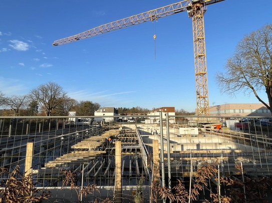 Terrassenwohnung im Hanseviertel