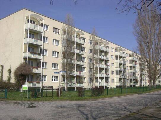 Zeit für einen frühlingsfrischen Start ins neue Zuhause!