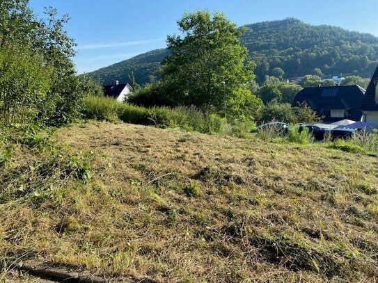 Provisionsfrei - Baugrundstück in ruhiger Waldrandlage mit Weitblick