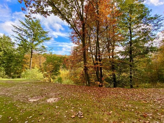 *** TRAUMHAFTE SINGELWOHNUNG in Prüm *** Nahe Zentrum ** EIFEL*NATUR* RUHE *** Prüm * Eigentumswohnung mit Aufzug *** e…