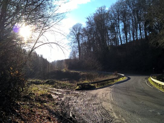 17 Min. v. Köln-Ost: zauberhafte Waldgrundstücke in einem wilden Bachtal