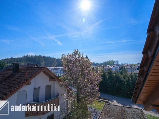 Sofort Einziehen & Wohlfühlen: Sanierte Dachgeschosswohnung mit Balkon in ruhiger Lage!