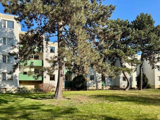 2,5-Zimmer-Eigentumswohnung bezugsfrei kaufen in Berlin-Gropiusstadt, 81 m², sonniger Balkon