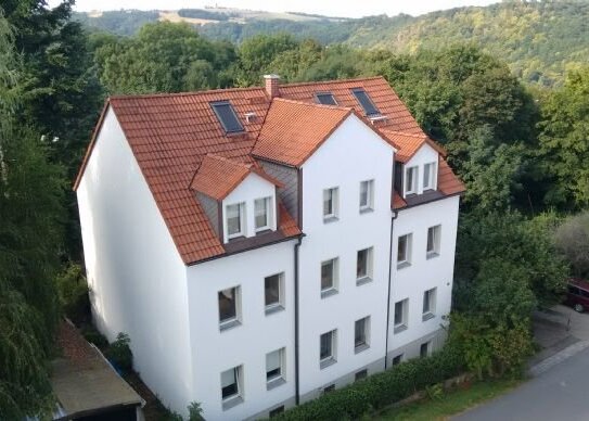 schöne, helle 2-Raum-Wohnung im Grünen mit guter Verkehrsanbindung