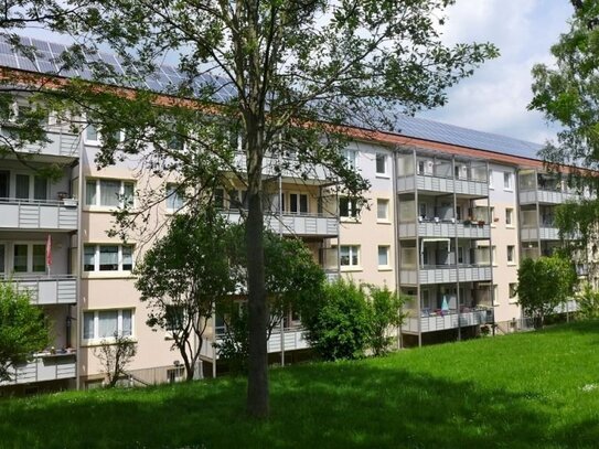 Erdgeschosswohnung in Waldnähe