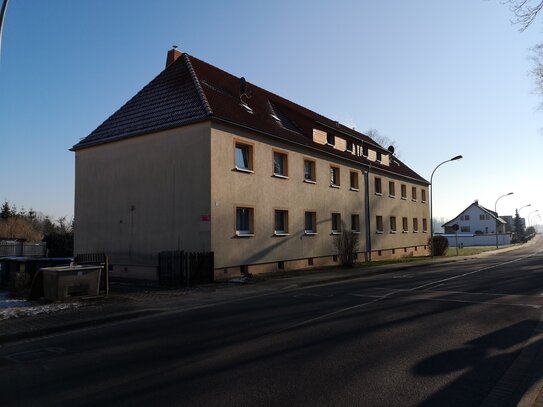 niedliche, neu renovierte 2-Raum Wohnung in Regis-Breitingen