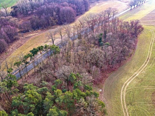 0,56 ha Acker- und Waldflächen ca. 500 m von Bad Belzig entfernt