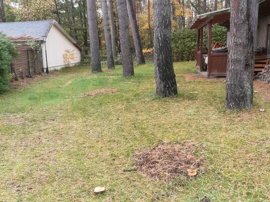 Ruhiges Grundstück in Michendorfer Waldlage